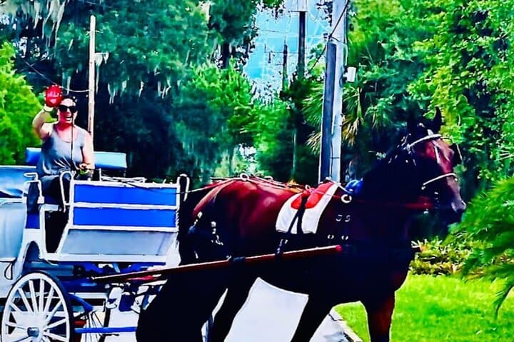 St. Augustine Classic Horse-Drawn Carriage Tour: Historic Downtown Ride photo 5