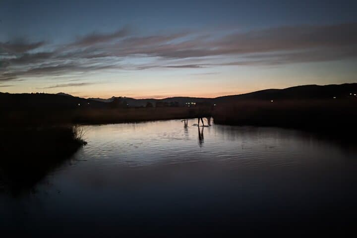 Sunset SUP on Sardinia’s Rio Posada: Evening Paddle and Flamingo Watching photo 5