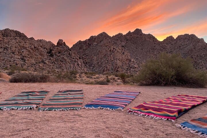 Soundbath Under The Stars: Joshua Tree Planetary Gong Meditation photo 4