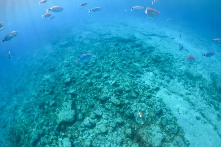 Isla de Lobos Ferry & Snorkel from Corralejo — Day-Trip Guide photo 6