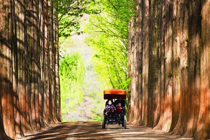 Escape Seoul: Nami Island & Gangchon Rail Bike Day Trip