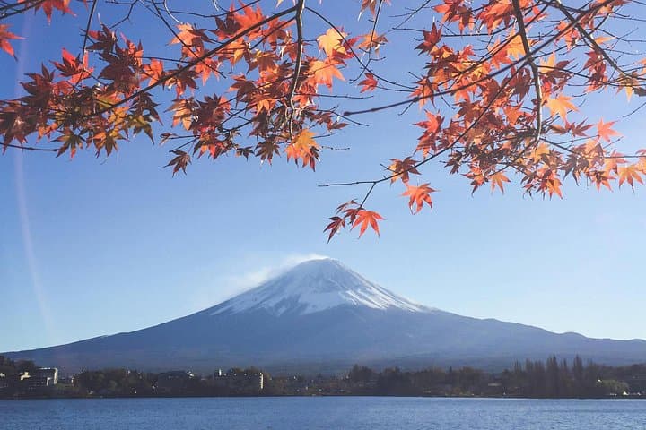 Private Mount Fuji Day Tour from Tokyo: Chureito Pagoda, Kawaguchi & Oshino Hakkai photo 4