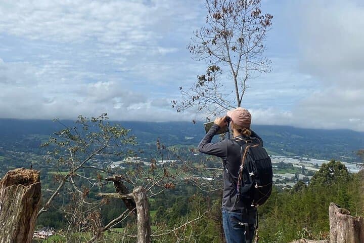 Private Virtual Tour: Explore Medellín Like a Local (90-Minute Live Guide) photo 3