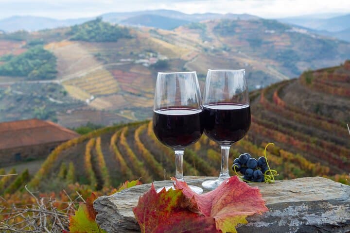 Private Douro Valley Tour: Wine, Rabelo Boat & Scenic Viewpoints