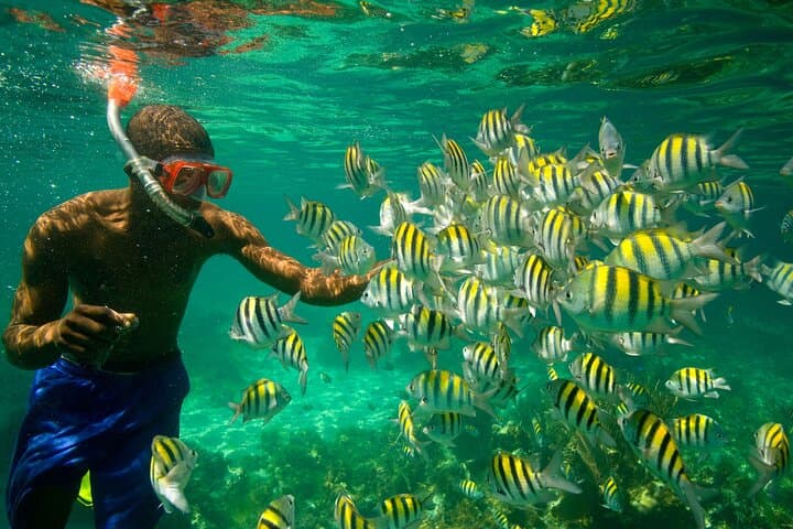 Nha Trang Full-Day Snorkeling and Mud Bath Tour with Lunch