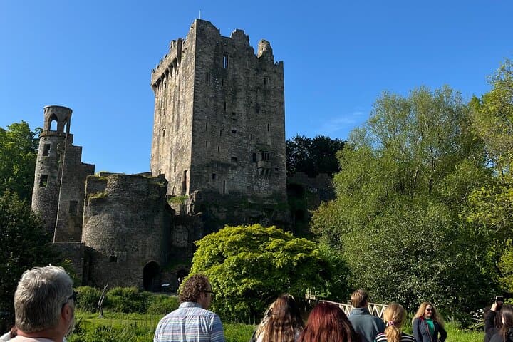 Blarney, Cork & Kinsale: Private Guided Minibus Day Tour from Cork