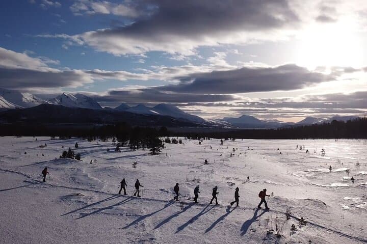 Easy Polar-Night Snowshoeing and Café Visit near Tromsø