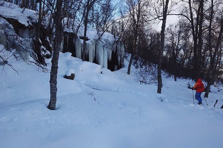 Easy Polar-Night Snowshoeing and Café Visit near Tromsø photo 2