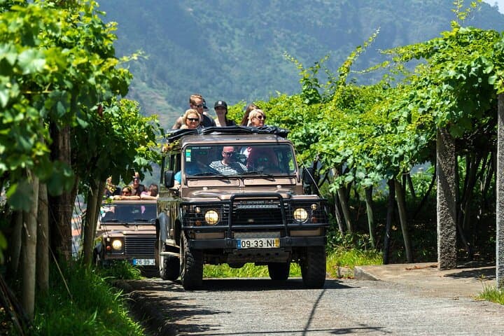 Madeira 4x4 Tour: Cabo Girão Off-Road Drive & Quinta do Barbusano Wine Tasting photo 1