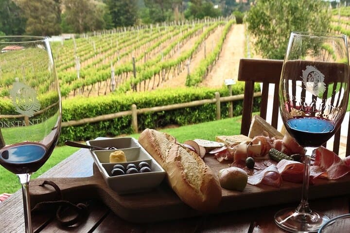 Private Cheetah Outreach & Cape Winelands Wine Tour from Cape Town photo 6
