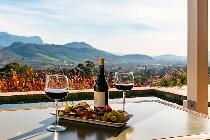 VIP Boulders Beach and Constantia Wine Tour — Penguins & Groot Constantia Tasting photo 4