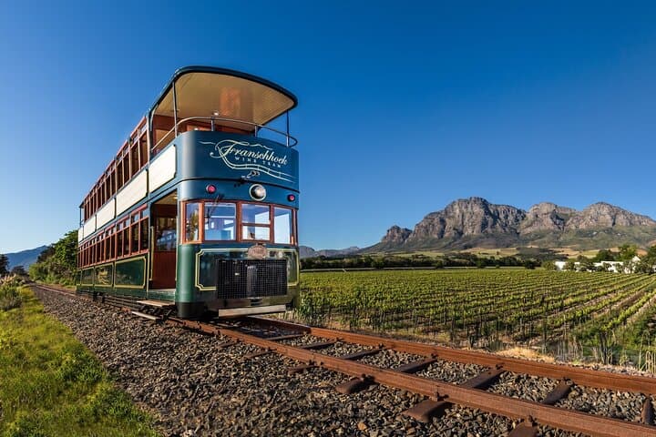 Private Cheetah Outreach & Cape Winelands Wine Tour from Cape Town photo 4