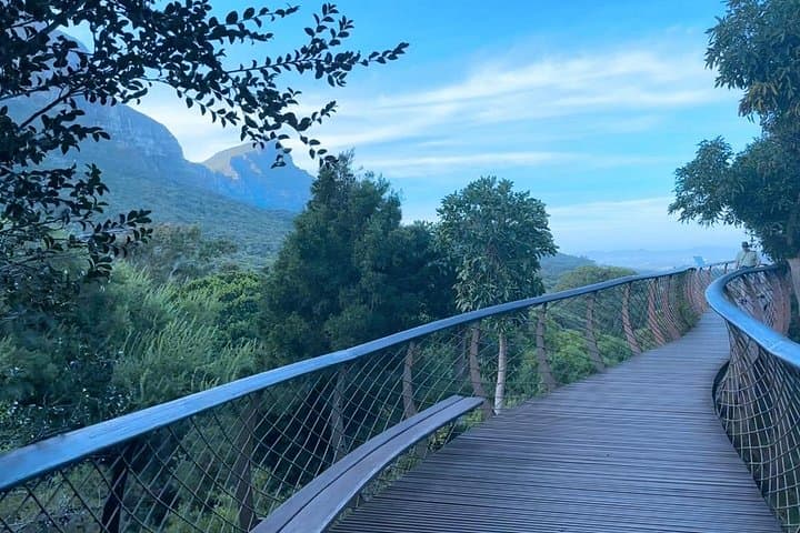 Kirstenbosch and Constantia Tour — Gardens, History & Wine Near Cape Town photo 3