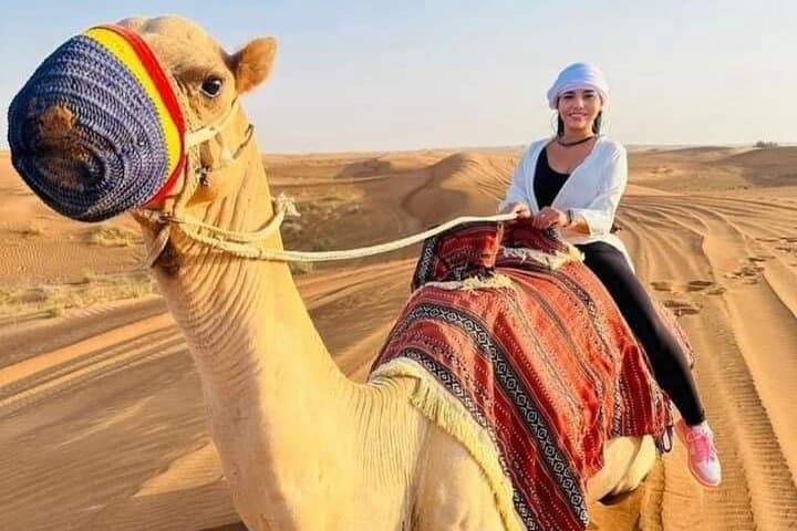 Evening Abu Dhabi Desert Safari with BBQ Dinner, Dune Bashing & Falcon Experience photo 3
