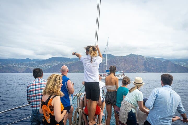 Funchal to Cabo Girao Dolphin & Whale Watching Cruise — 3-Hour Marine Safari photo 1