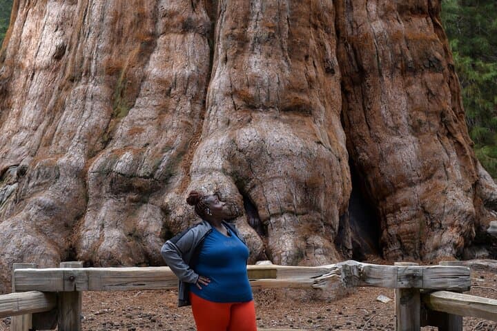 Private 2-Day Sequoia & Kings Canyon Tour from Los Angeles — General Sherman, Moro Rock & Boyden Cavern