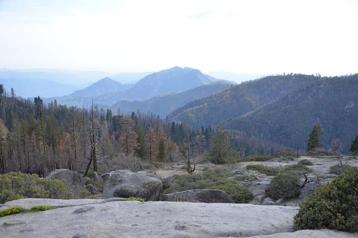 Private 2-Day Sequoia & Kings Canyon Tour from Los Angeles — General Sherman, Moro Rock & Boyden Cavern photo 6