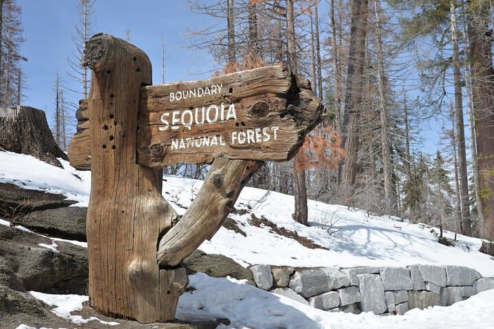 Private 2-Day Sequoia & Kings Canyon Tour from Los Angeles — General Sherman, Moro Rock & Boyden Cavern photo 4