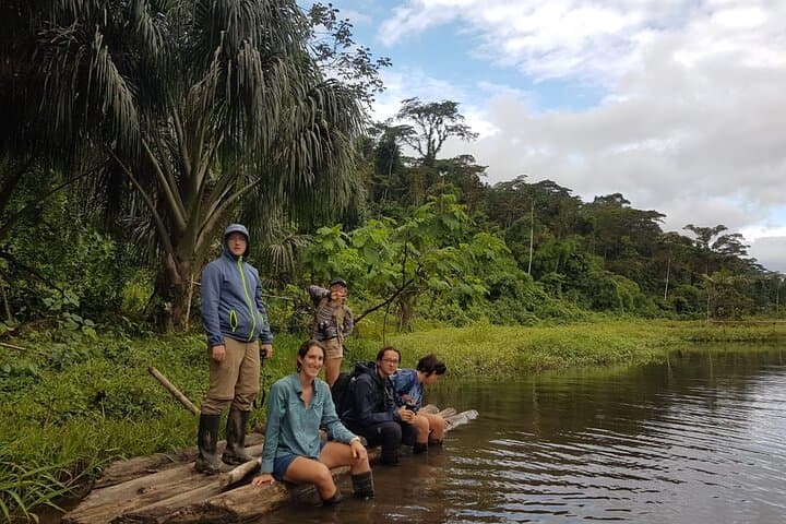 3-Day Amazon Jungle Tour in Manu National Park, Peru photo 3