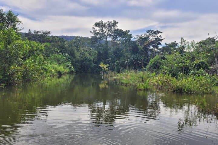 3-Day Amazon Jungle Tour in Manu National Park, Peru photo 4