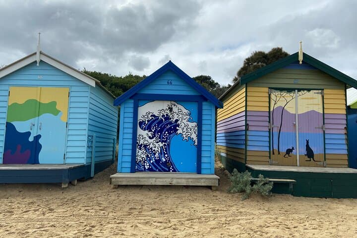Discover Australia's Wildlife and Iconic Beach Boxes on a Half-Day Tour photo 2