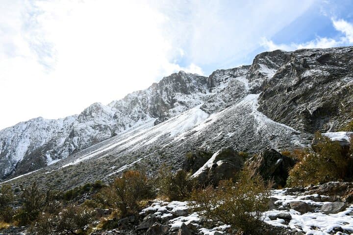 Christchurch to Franz Josef One-Way via Hokitika — Scenic West Coast Day Tour photo 6