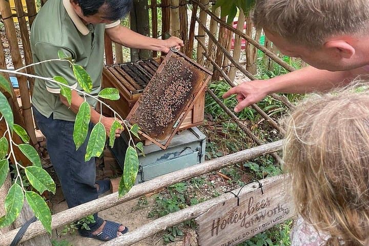 Phu Quoc Northern Islands Kayak & SUP Day Trip — Beaches, Bee Farm, Rach Vem photo 3