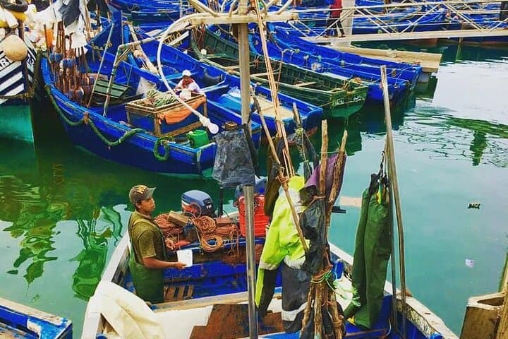 Essaouira Day Trip from Marrakech: Private Wind City Tour & Argan Co‑op Visit