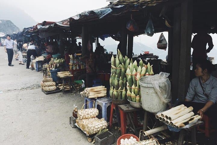 Mai Chau to Pu Luong: 2-Day Trek and Cycle Through Northern Vietnam’s Rice Terraces photo 3