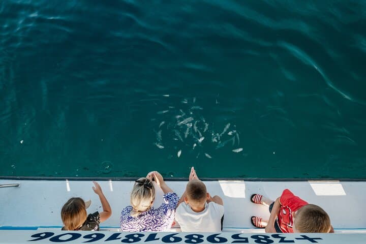 Glass-Bottom Boat Tour to Brijuni & St. Jerolim from Fažana photo 6