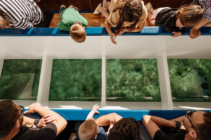 Glass-Bottom Boat Tour to Brijuni & St. Jerolim from Fažana