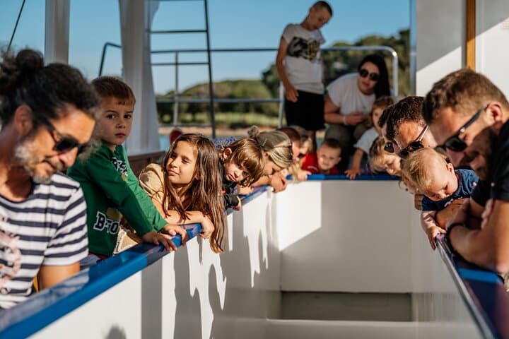 Glass-Bottom Boat Tour to Brijuni & St. Jerolim from Fažana photo 5