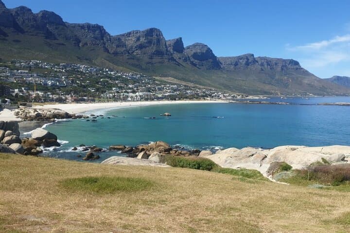 Cape Point to Stellenbosch: Private Cape Town Tour with Penguins, Chapman's Peak & Wine Tasting