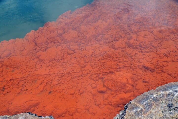 Wai-O-Tapu and Polynesian Spa Day Tour from Auckland — Geothermal Wonders & Hot Springs photo 2
