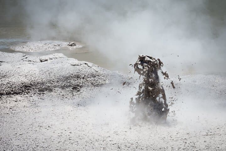 Wai-O-Tapu and Polynesian Spa Day Tour from Auckland — Geothermal Wonders & Hot Springs photo 6