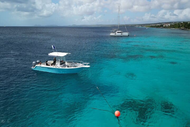 Private Scuba Charter in Bonaire Marine Park: Two Dives with a Personal Guide photo 3