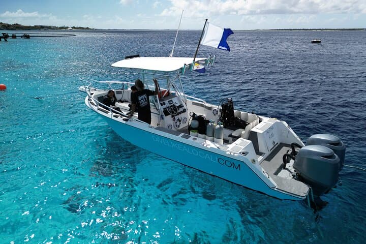 Private Scuba Charter in Bonaire Marine Park: Two Dives with a Personal Guide photo 4
