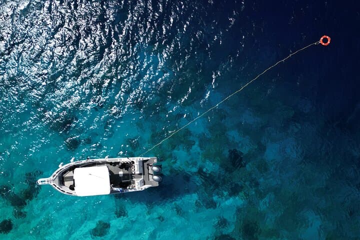 Private Scuba Charter in Bonaire Marine Park: Two Dives with a Personal Guide photo 2