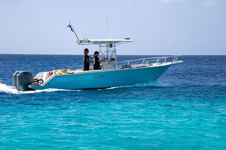 Private Scuba Charter in Bonaire Marine Park: Two Dives with a Personal Guide