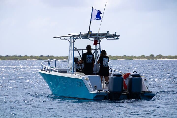 Private Scuba Charter in Bonaire Marine Park: Two Dives with a Personal Guide photo 5