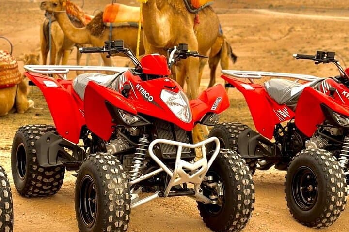 Marrakech to Agafay: Camel Ride, Quad Biking & Desert Dinner Experience photo 5