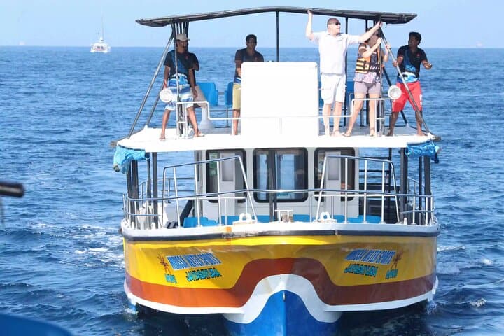 Dawn Whale and Dolphin Watching in Mirissa: All-Inclusive Boat Experience photo 2