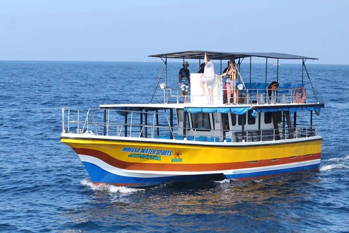 Dawn Whale and Dolphin Watching in Mirissa: All-Inclusive Boat Experience photo 5