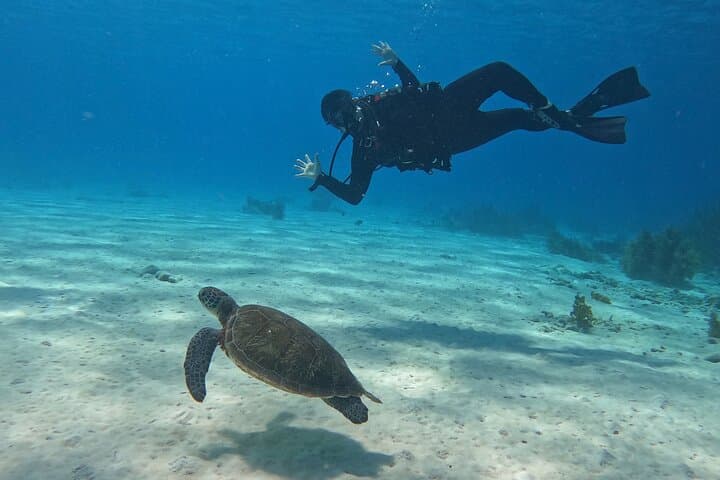 Discover Scuba Diving in Bonaire's Diver's Paradise photo 5