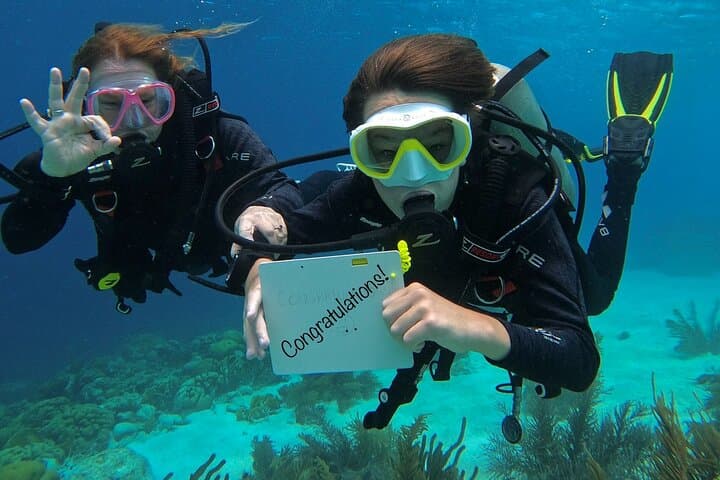 Discover Scuba Diving in Bonaire's Diver's Paradise photo 6