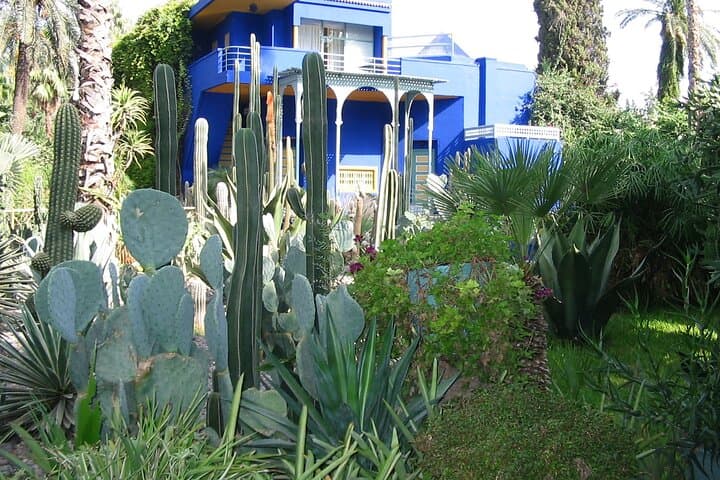 Majorelle Garden & YSL Museum: A Practical Visitor's Guide to Marrakech's Blue Oasis photo 3