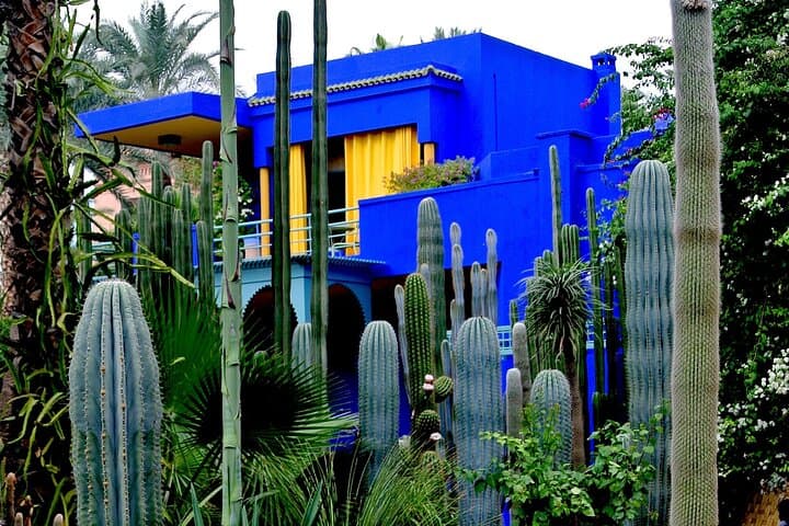 Majorelle Garden & YSL Museum: A Practical Visitor's Guide to Marrakech's Blue Oasis photo 4