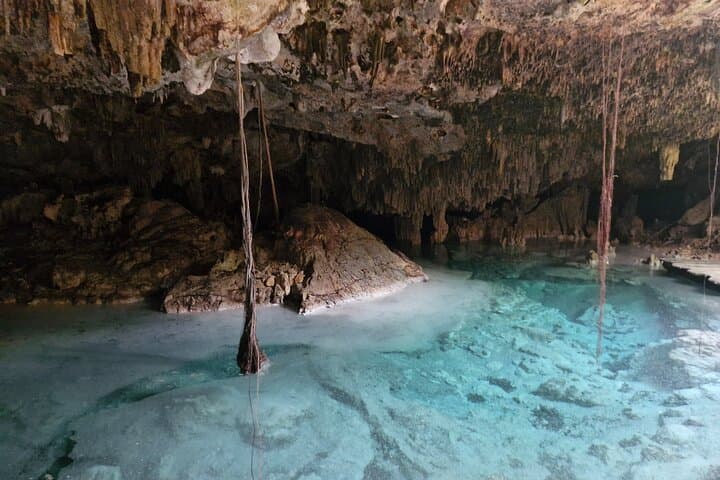 Private 5-Cenote Explorer: Snorkel & Swim in the Riviera Maya Jungle photo 2