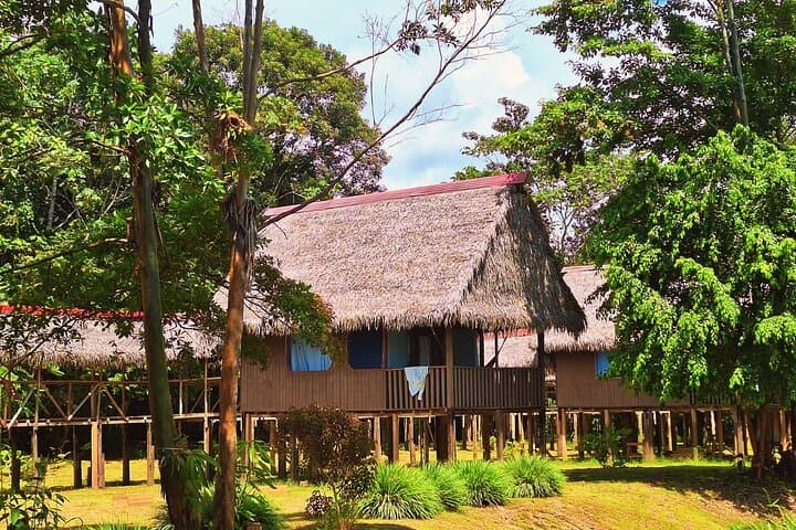 4-Day Amazon Jungle Tour from Iquitos to Tamshiyacu-Tahuayo Reserve photo 4
