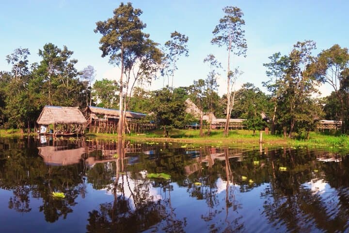 4-Day Amazon Jungle Tour from Iquitos to Tamshiyacu-Tahuayo Reserve photo 3